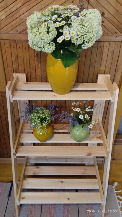 Вести с дачных Полей (продолжение. 06