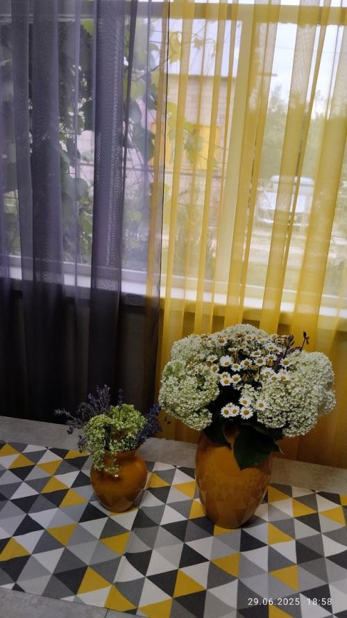 Вести с дачных Полей (продолжение. 09