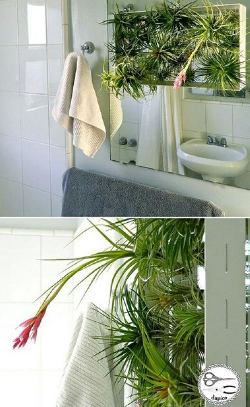 Вертикальный сад аэрофитов в раме. 03