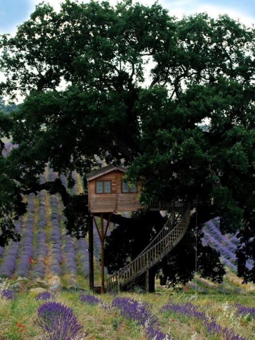 Дом на дереве в Тоскане: когда мечта становится пространством для жизни. 05