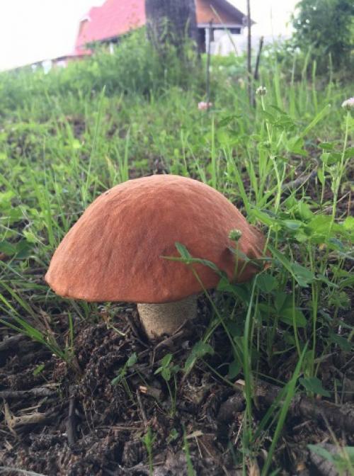 Когда муж на Рыбалке, я Пишу Картины Маслом. 03