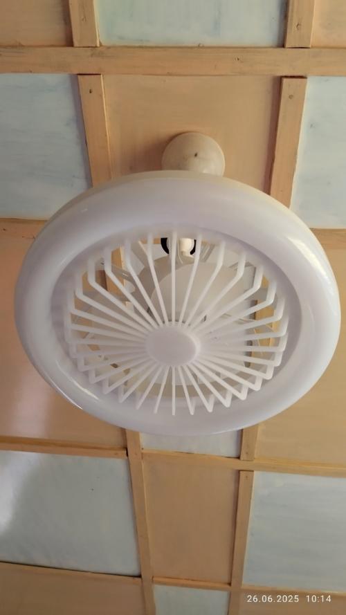 Вести с дачных Полей (продолжение. 07