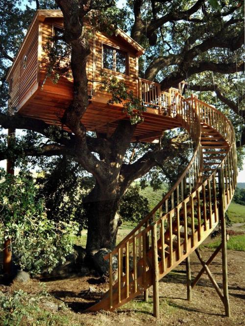 Дом на дереве в Тоскане: когда мечта становится пространством для жизни. 06