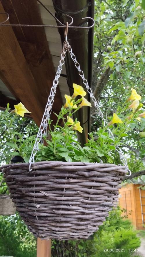 Вести с дачных Полей (продолжение. 01