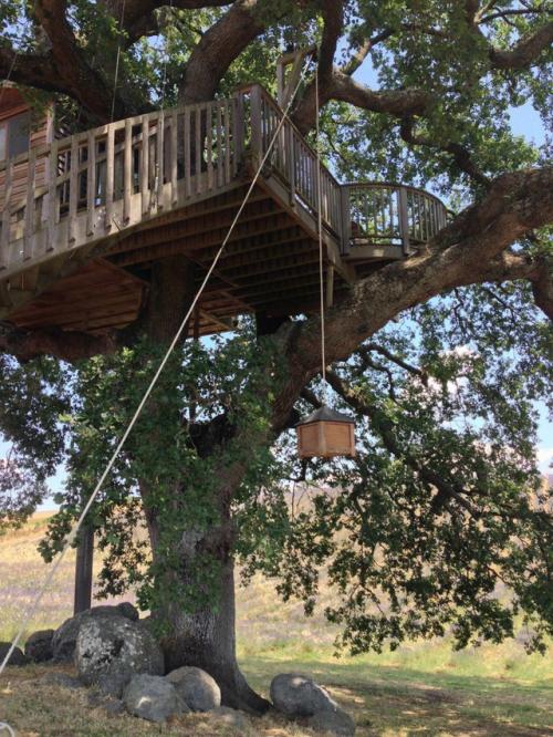 Дом на дереве в Тоскане: когда мечта становится пространством для жизни. 02