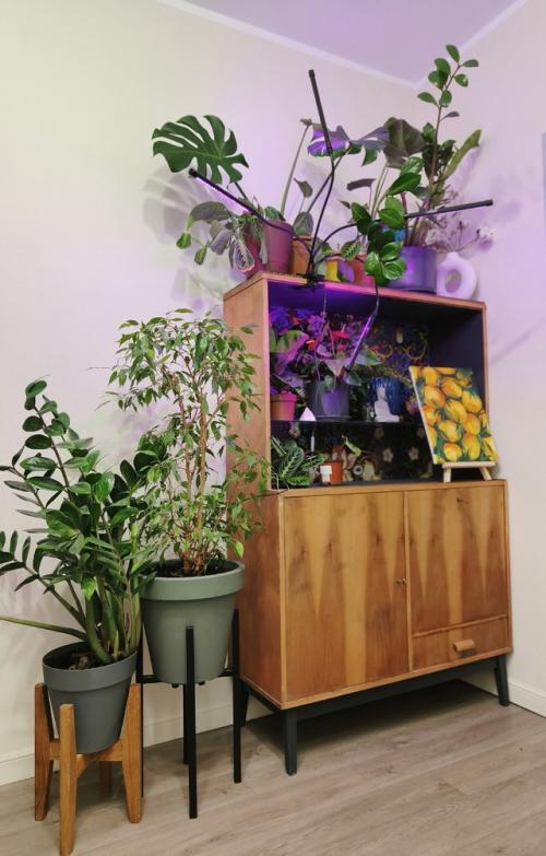 Как дизайнер интерьера, я приехала на замер в квартиру, которую заказчик приобрел со всем содержимым. 03