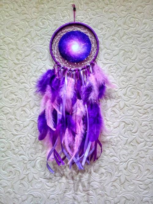 Ловецснов ловушкасновидений Ipomoeapurpurea. 08