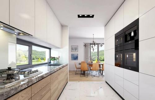 Эскизный проект коттеджа с гаражом. 06