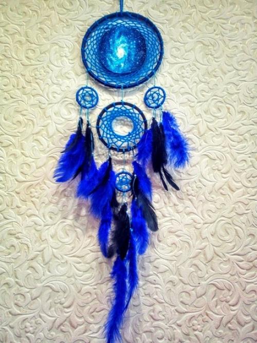 Ловецснов ловушкасновидений Ipomoeapurpurea. 01