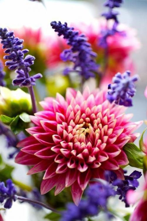 Подборка первых блюд. 01