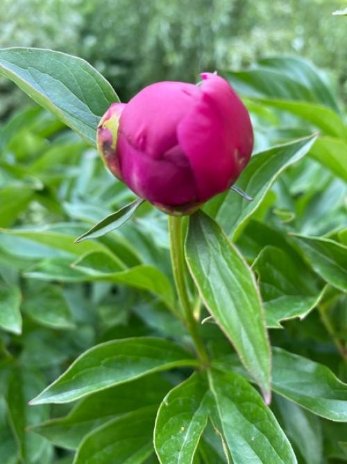 Таким образом, если вы ещё не были на балконе старой башни, обязательно рекомендую подняться и полюбоваться потрясающими видами Камы. 09