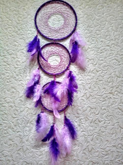 Ловецснов ловушкасновидений Ipomoeapurpurea. 09