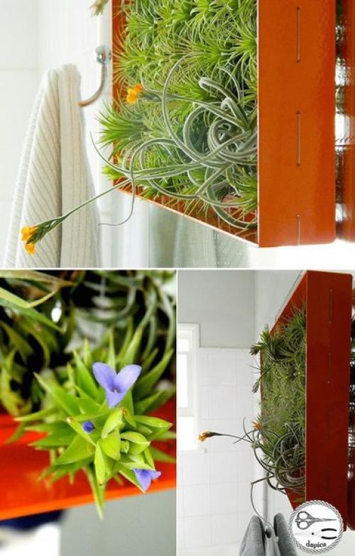 Вертикальный сад аэрофитов в раме. 02