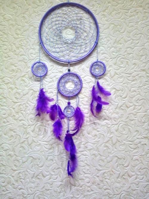 Ловецснов ловушкасновидений Ipomoeapurpurea. 02