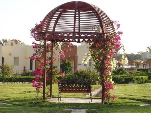 Что посадить возле беседки?