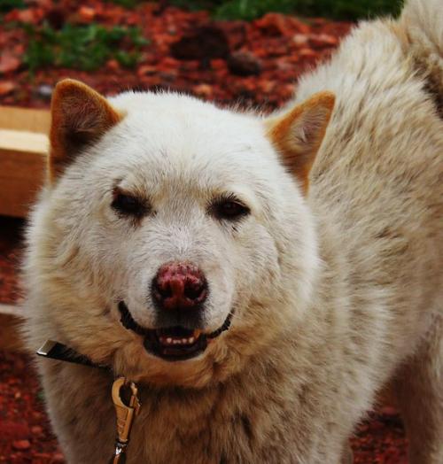 Сегодня у нас снова пополнение.