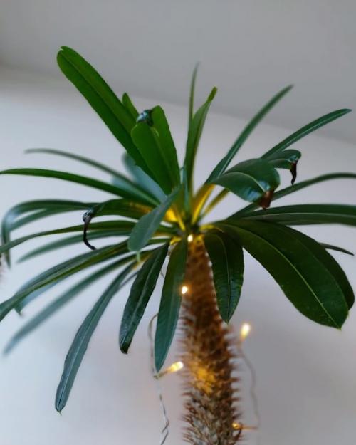 Я посчитала, это моя 12-ая квартира с момента рождения. 02