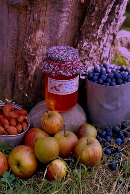 Летние радости.  Семейный портрет в интерьере. 02