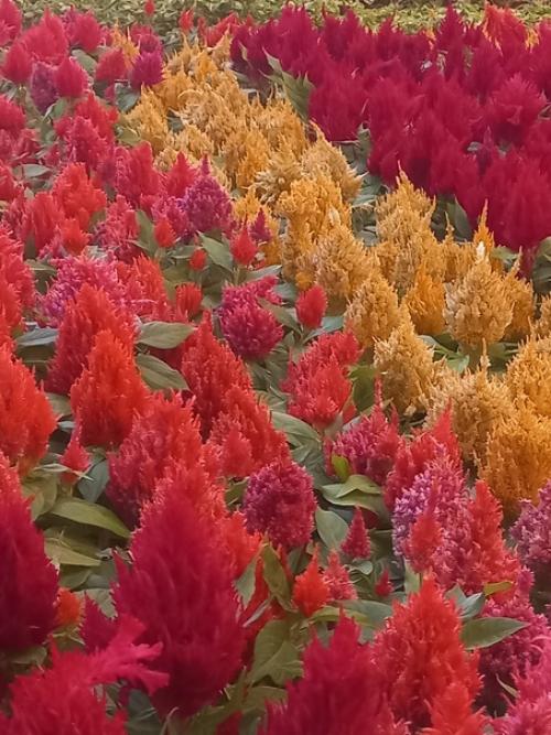 В нашей жизни огромное количество чудесных событий. 04