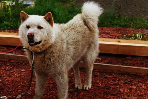 Сегодня у нас снова пополнение. 01