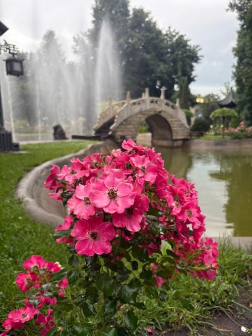 Золотой Город - это частный парк, выполненный в китайском стиле. 06