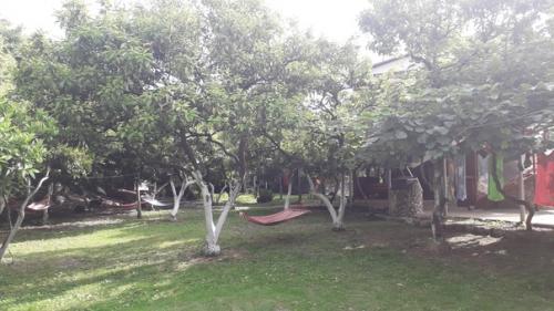 Абхазия 16.  06. 21 - 28. 06