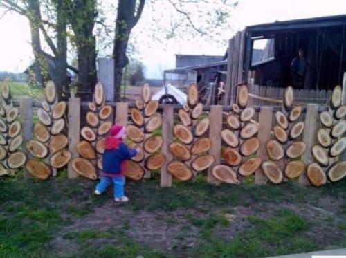 Спилы дерева как материал для творчества. 05