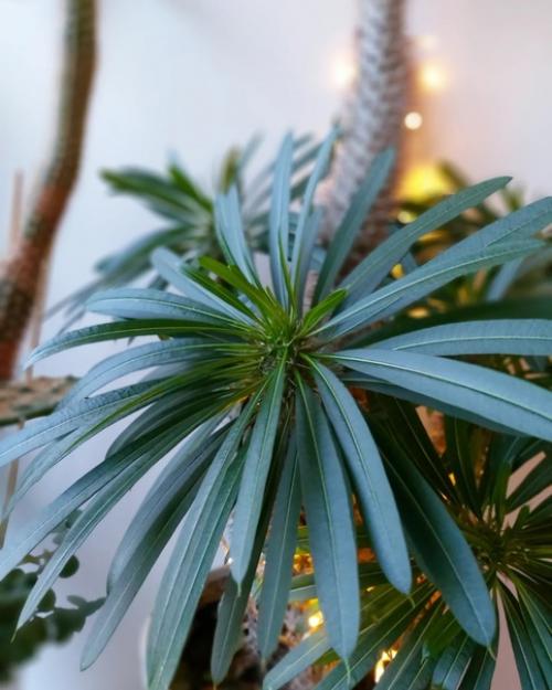 Я посчитала, это моя 12-ая квартира с момента рождения. 01