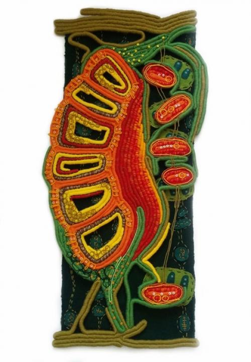 Кухня.  Что разместить? 01