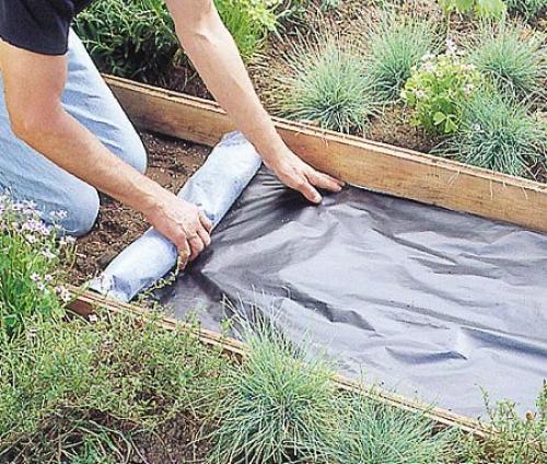 Садовая дорожка своими руками? 01