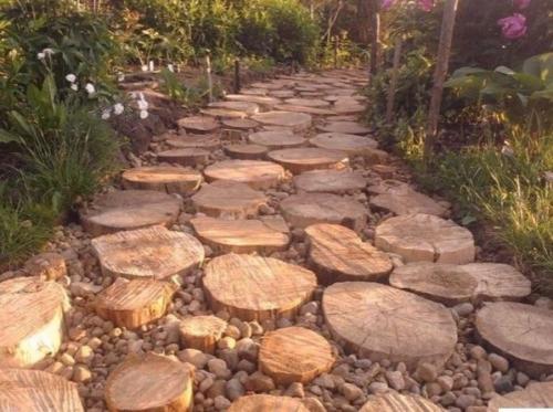 Спилы дерева как материал для творчества. 08