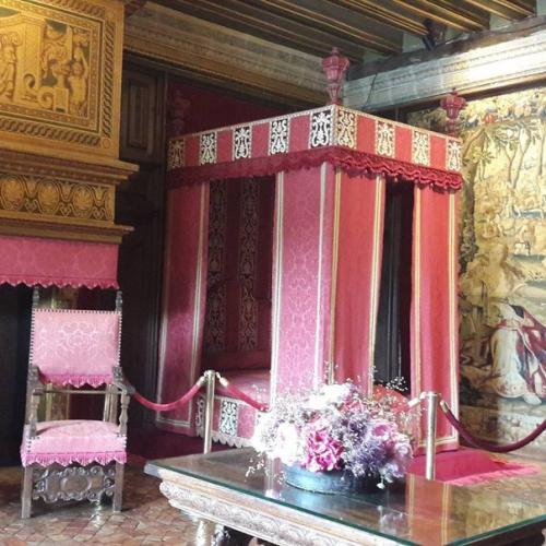 И вот я в замке шенонсо. 01