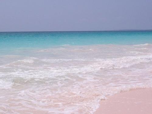 Один из самых красивых пляжей мира: Pink Sands Beach, остров харбор, багамские острова. 02