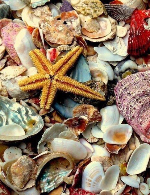 В глубине моря вечная тишина. 03