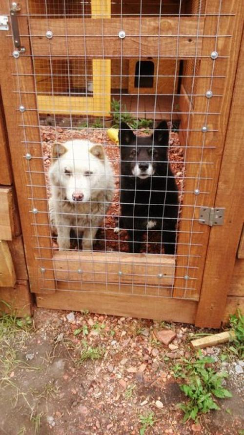 Сегодня у нас снова пополнение. 02