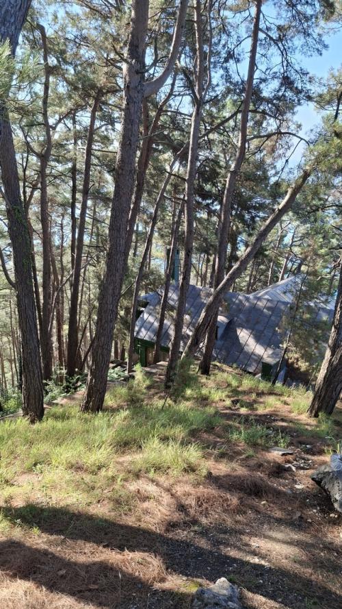 Абхазия. Остановка первая - дача Сталина, недалеко от Гагр, 300 метров от уровня моря. 05