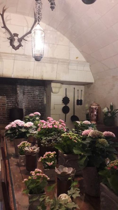 И вот я в замке шенонсо. 05