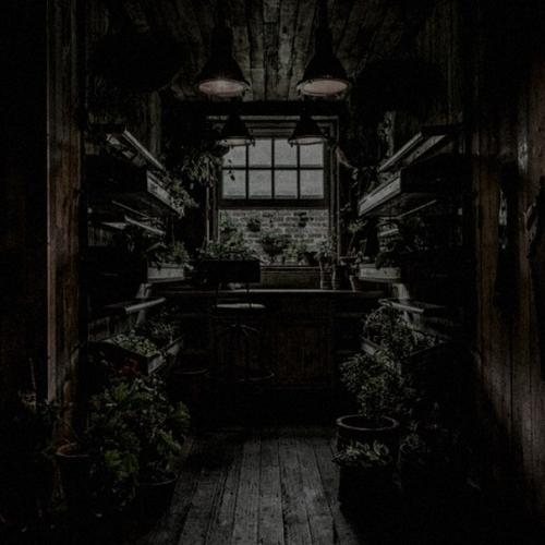 : Doseofslash:   Hermit au, в котором чонгук бросил учебу в престижном университете по никому не изветным причинам и уехал далеко за город. 02