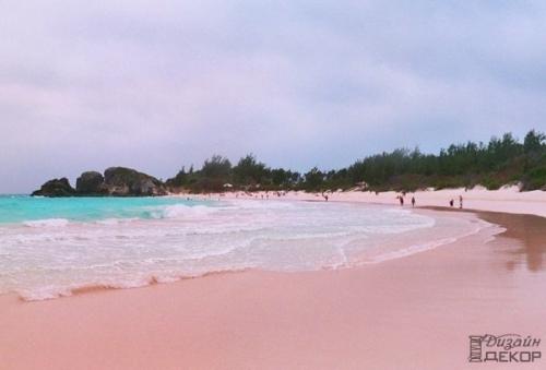 Один из самых красивых пляжей мира: Pink Sands Beach, остров харбор, багамские острова. 06