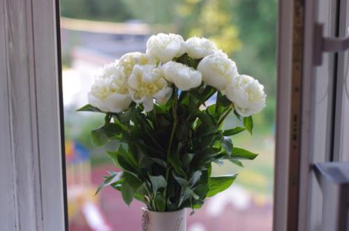 Нашей семье сегодня исполнилось 1? 01