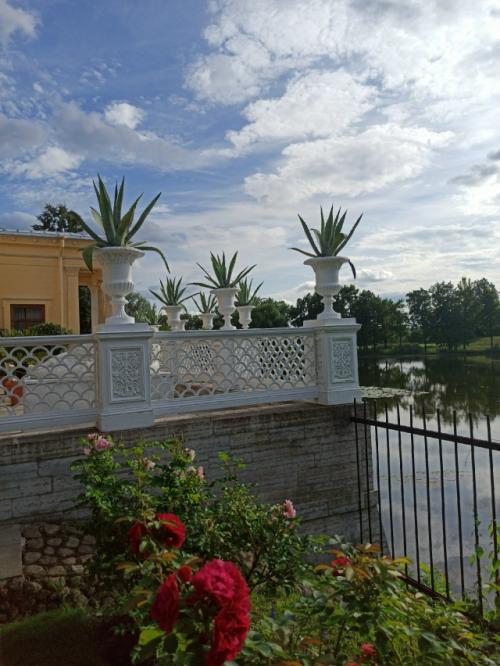 Лишь в том случае, если вы как и я любите Италию, но пока нет возможности туда добраться, то вы найдете уголок Италии в Санкт-петербурге! 02