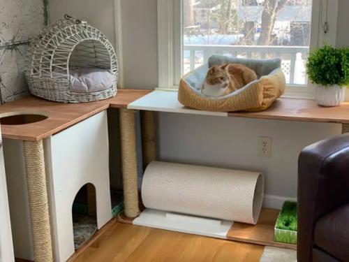 Дизайнер интерьеров решила сделать предмет мебели, который мог бы служить и столом, и местом, где кошки могли бы отдыхать и играть. 03