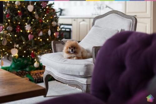 Квартира в американском стиле для семьи с маленьким ребенком ч. 1. 05