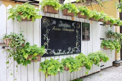 Кафе и рестораны, где обитают животные. 07