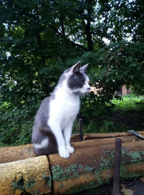 Мода на экзотику или вычурность форм приходит и уходит, а классика, природные оттенки или простые формы остаются навсегда. 02