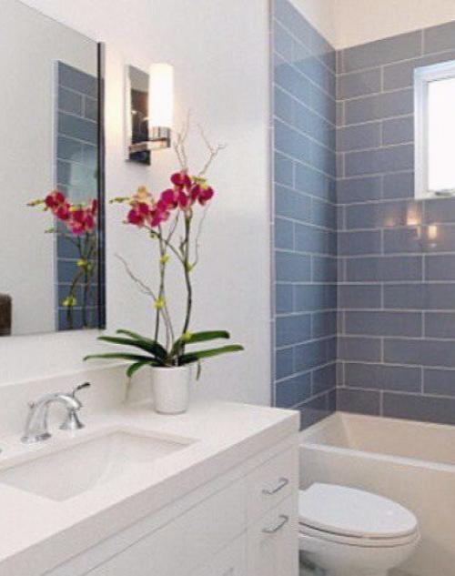 Растения как украшения интерьера. 02 Растения как украшения интерьера. 02