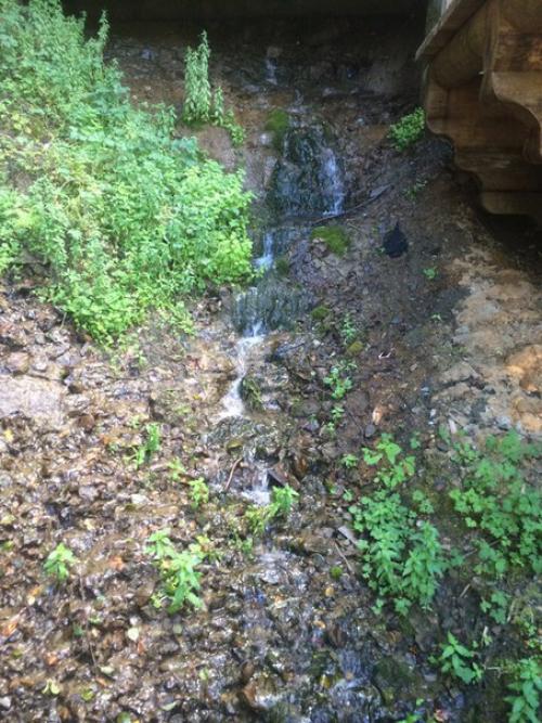 Нашей семье сегодня исполнилось 1? 03