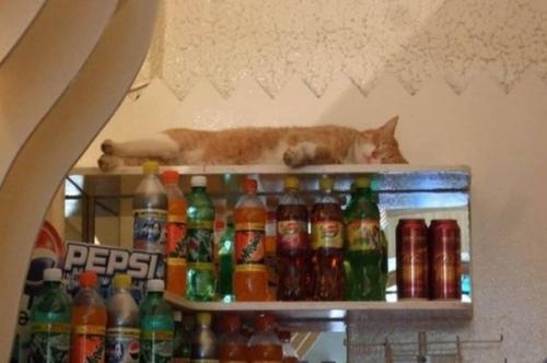 Пышечная на большой конюшенной. 03 Пышечная на большой конюшенной. 03