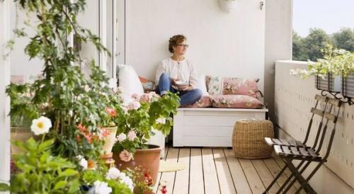 Как выбрать растение для каждой из комнат. 01