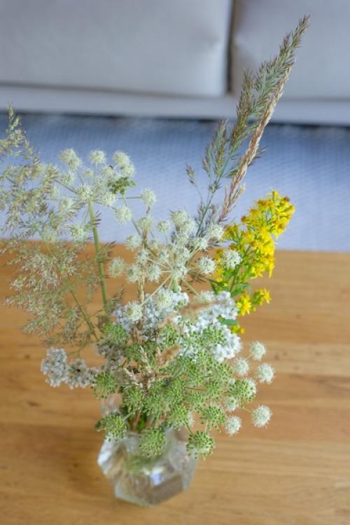 Финская дача на берегу озера. 08